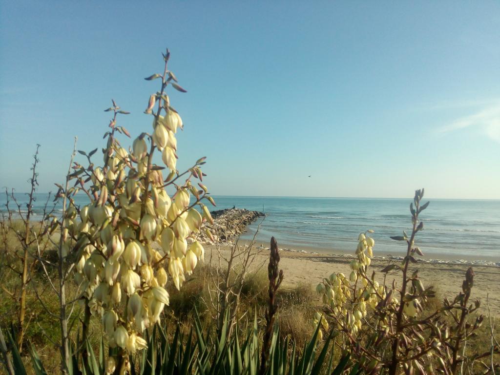 Villa Trifoglio Lido di Jesolo Exterior foto